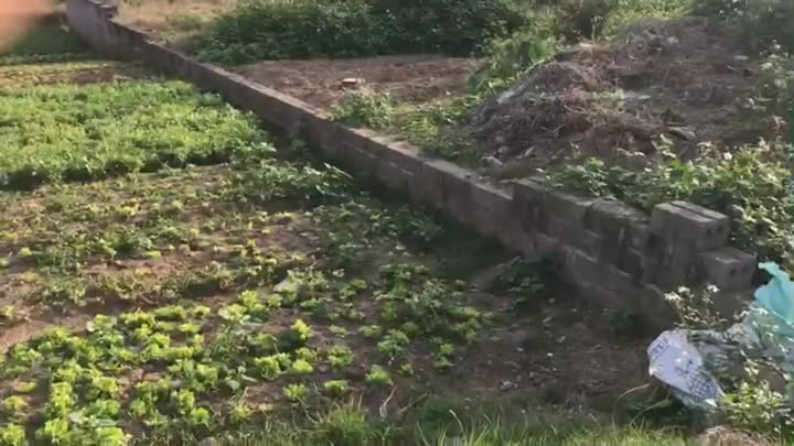 Đất Nền Mặt Tiền TL489, Nam Định - 234m², Chia 2 Lô, Giá 3.x Tỷ