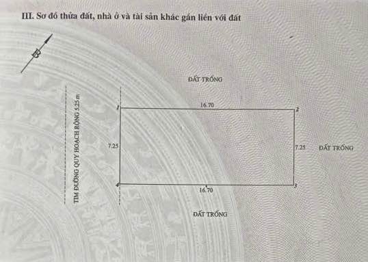 Lô đất biệt thự Bùi Viện 121m² - Tiềm năng tăng giá vượt trội!