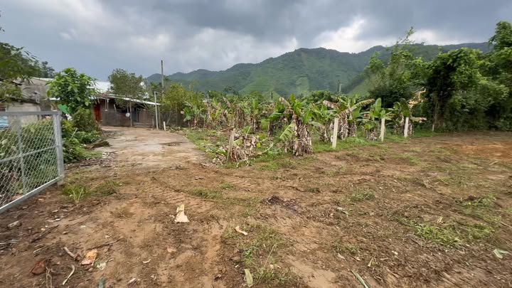 Đất Vườn Hòa Bắc Đà Nẵng 1013m² - Nghỉ dưỡng lý tưởng!