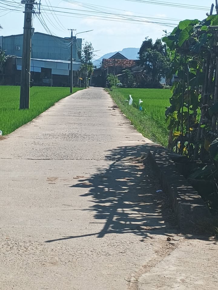 Bán Đất Phước Nghĩa Bình Định - 2 Lô Giá Tốt 85m² - Sổ Đỏ Sẵn Sàng