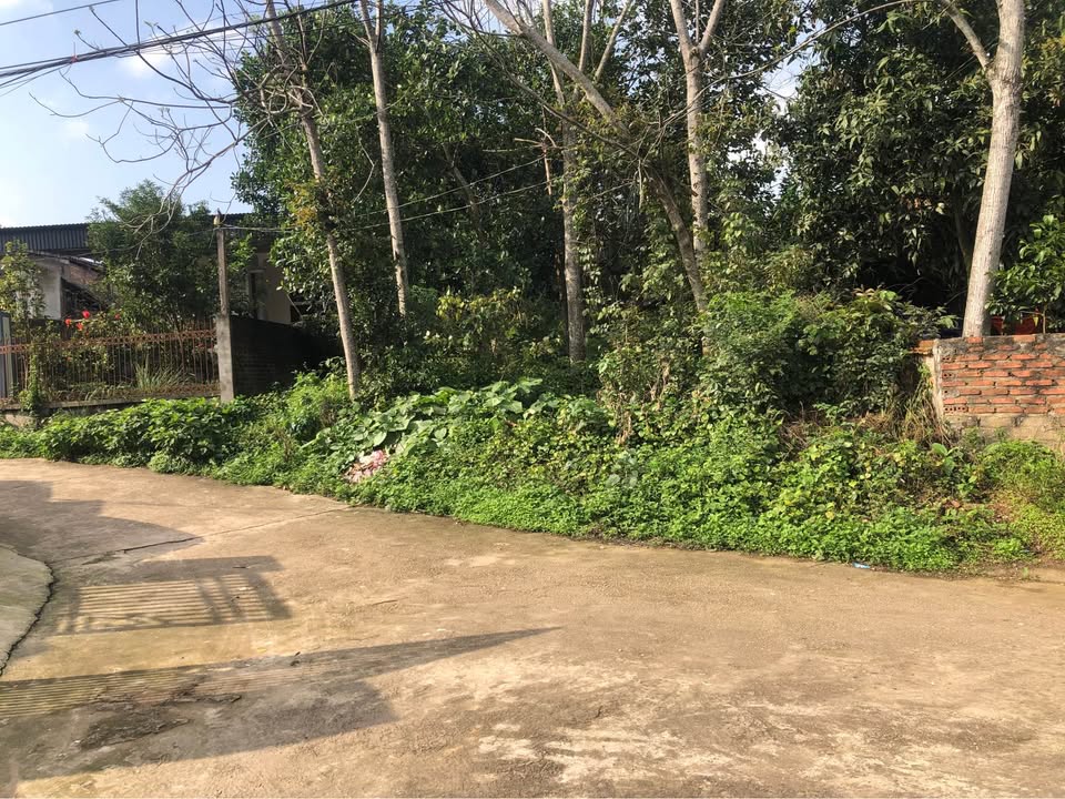 Đất nền Phú Thọ 486.5m² - Sổ đỏ sẵn, giá 1.5 tỷ, gần KCN Bãi Ba