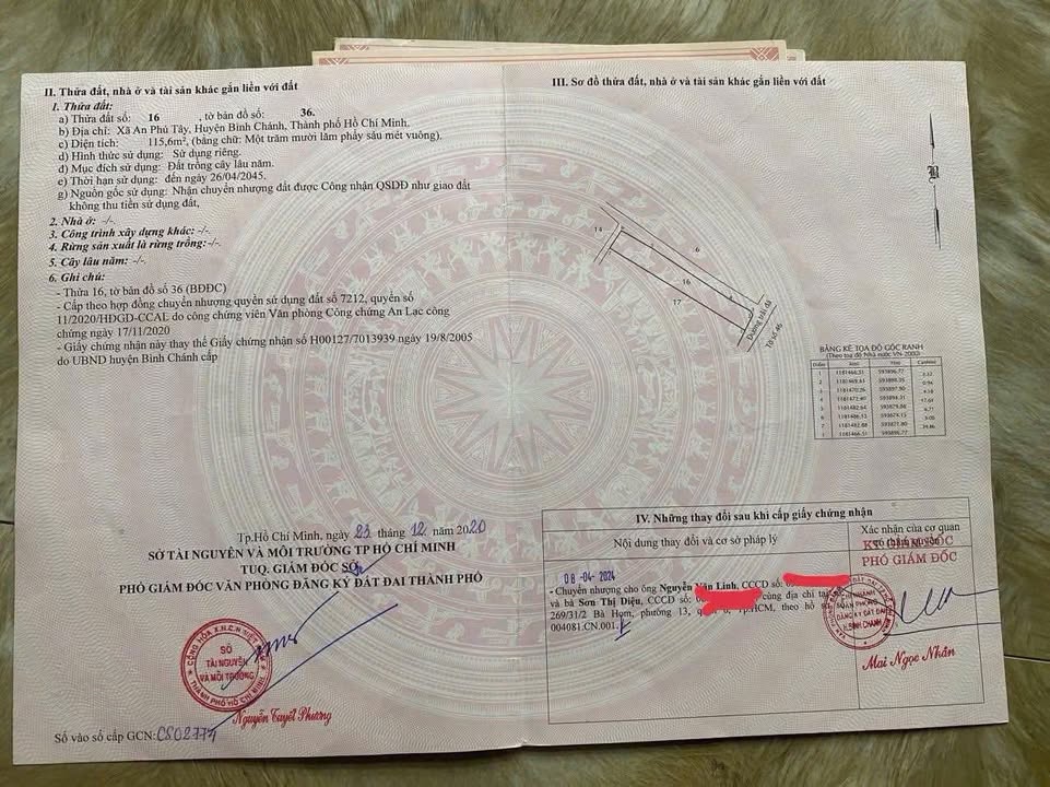 Đất nền Bình Chánh 115.6m² - Sổ hồng riêng, góc 2 mặt tiền!