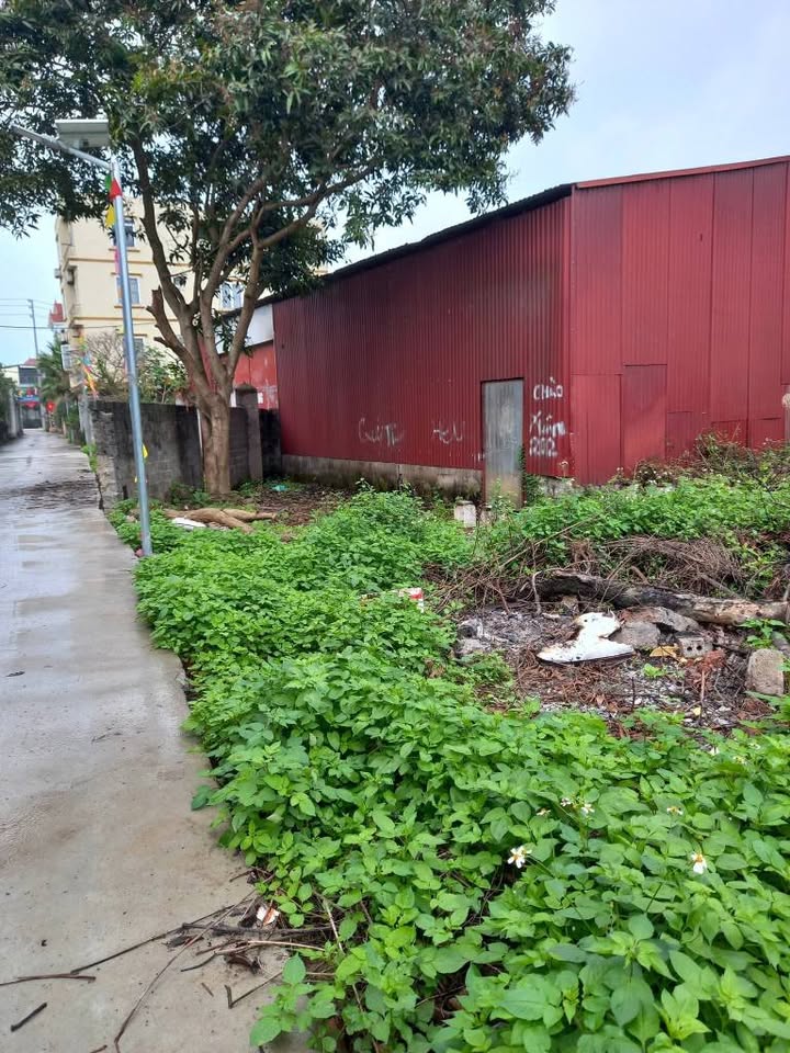 Đất nền Thôn Xuân Trung Chương Mỹ 479m² - Sổ đỏ chính chủ!