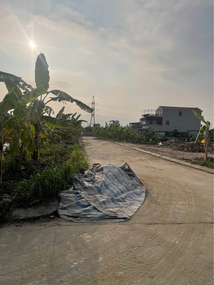 Đất nền Phạm Bạc Hổ Ninh Bình 99m² - Tiềm năng tăng giá vượt trội!