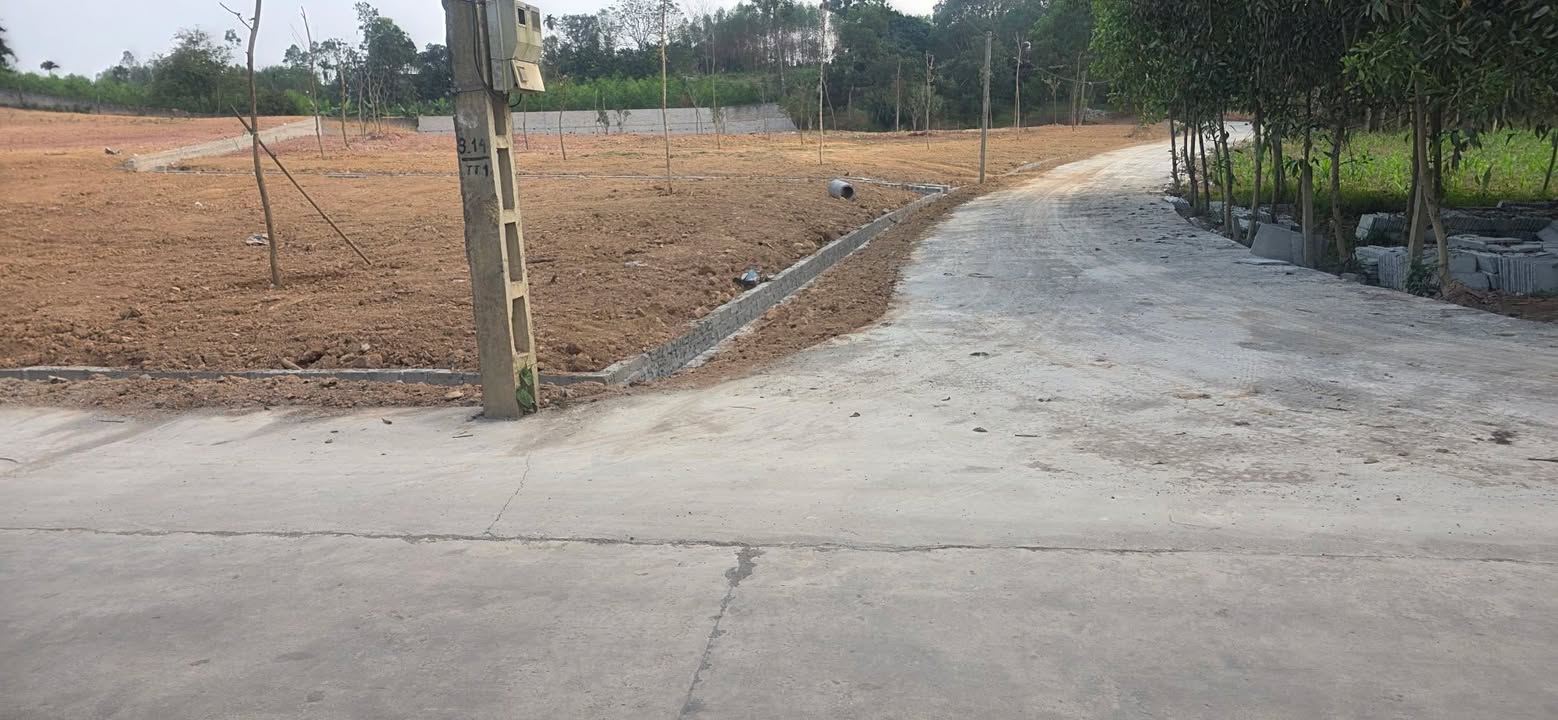 Đất nền Tam Tiến, Yên Thế 1599m² - 50m Mặt Đường Ô Tô!