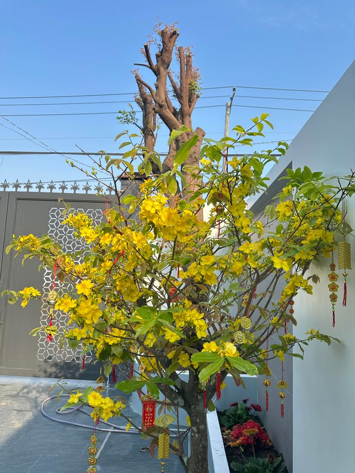 Bán 30.000m² đất Phước Long Thọ giá 19.5 tỷ - Sổ đỏ chính chủ