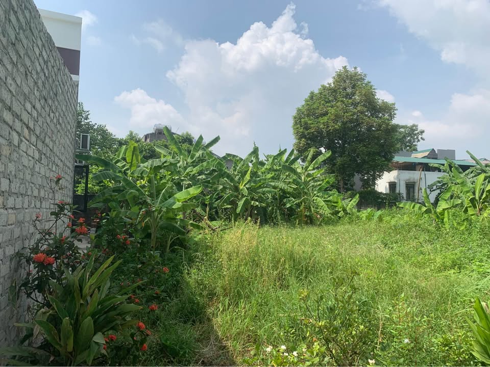 Đất nền Tràng Đà, Tuyên Quang 156m² giá 800 triệu - Sổ đỏ chính chủ!