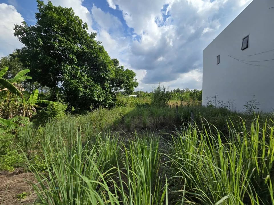 Đất nền Long Tuyền 287m² 1.65 tỷ - Sổ đỏ chính chủ