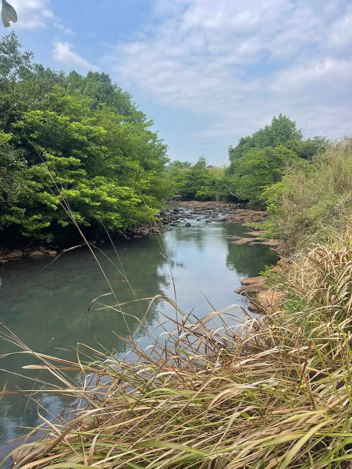 Đất nền Đắk Song 3060m² giá 1.5 tỷ - Tiềm năng tăng giá vượt trội!