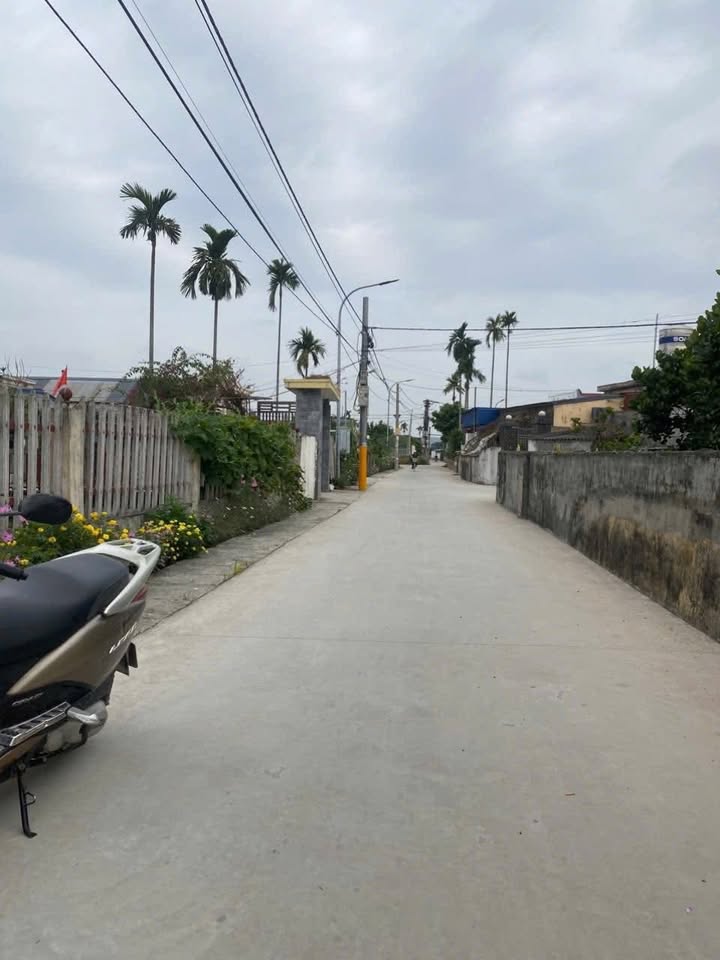 Đất nền Tiên Lãng, Hải Phòng 100m² - Tiềm năng tăng giá