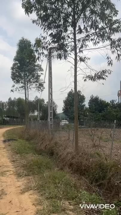 Đất vườn Mỹ An Bắc Giang 7.400m² - Nghỉ dưỡng lý tưởng