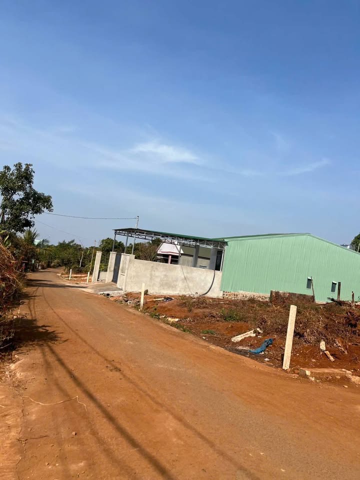 Bán Đất Nở Hậu 350m² Ia Grai - Sẵn Sàng Xây Dựng