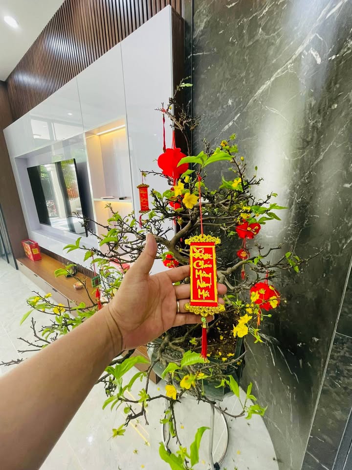 Nhà 3 Tầng Hoà Quý, Ngũ Hành Sơn 268m² Sẵn sàng ở ngay!