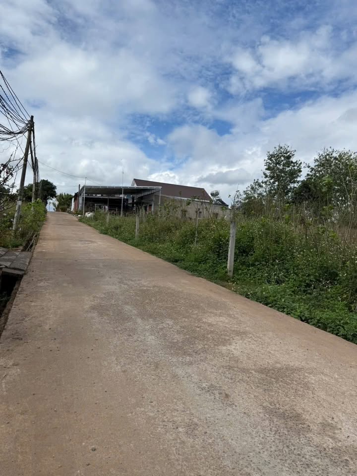 Đất Nền Xã Bình Thạnh, Đức Trọng 400m² - Đường to ô tô tận nơi!