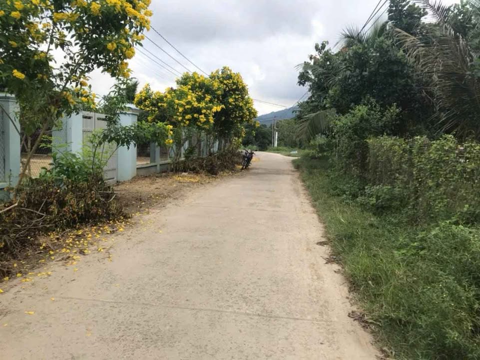 Đất nền 2420m² Diên Khánh, Khánh Hòa - Sổ đỏ chính chủ, có nhà cấp 4