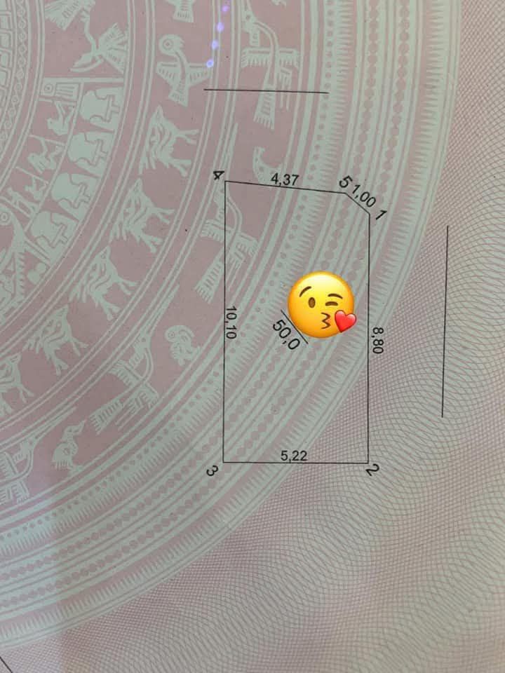 Đất nền Ngũ Hiệp, Thanh Trì 50m² giá 12 tỷ - Vị trí vàng, kinh doanh đỉnh!