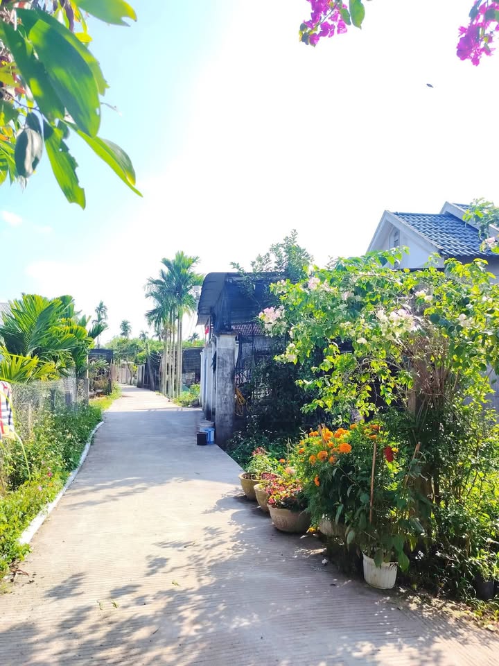 Đất nền Tịnh Sơn, Quảng Ngãi 126m² - Đường ô tô tới đất, chỉ từ 500 triệu!