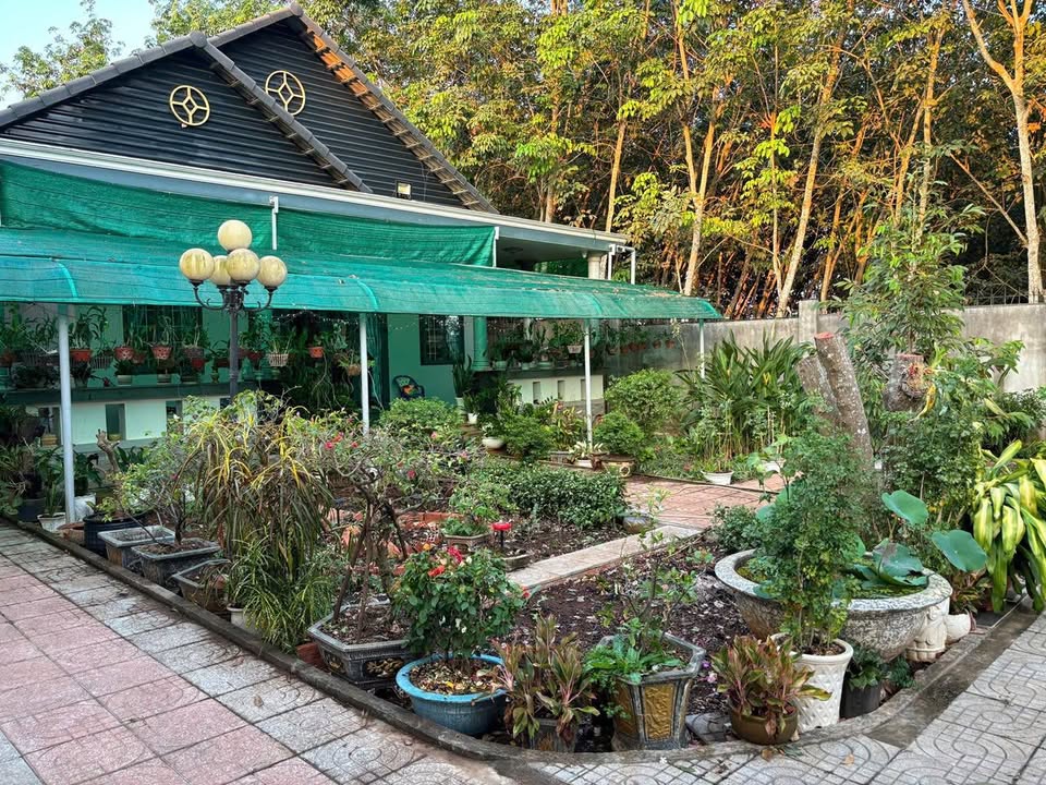 Nhà Vườn Long Tâm Bà Rịa 2010m² – Full Nội Thất, Sổ Hồng Sẵn!