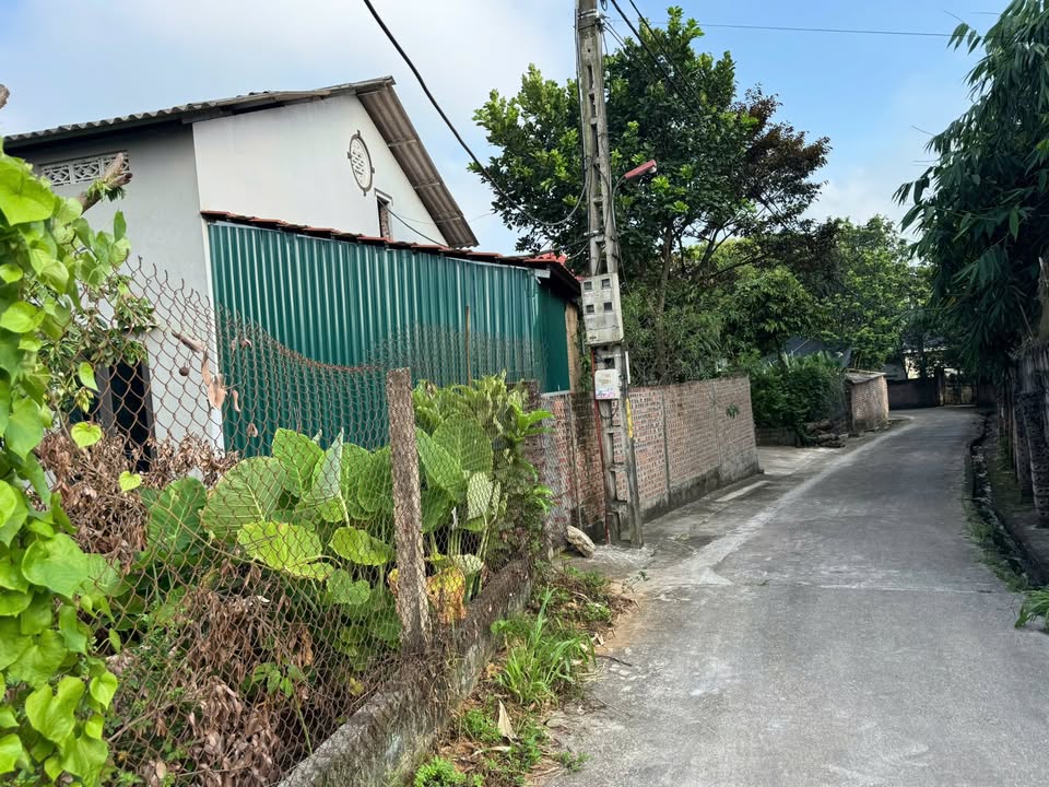 Đất Vườn Ba Vì 537m² - Sổ Đỏ 1 Tỷ - Đầu Tư Sinh Lời