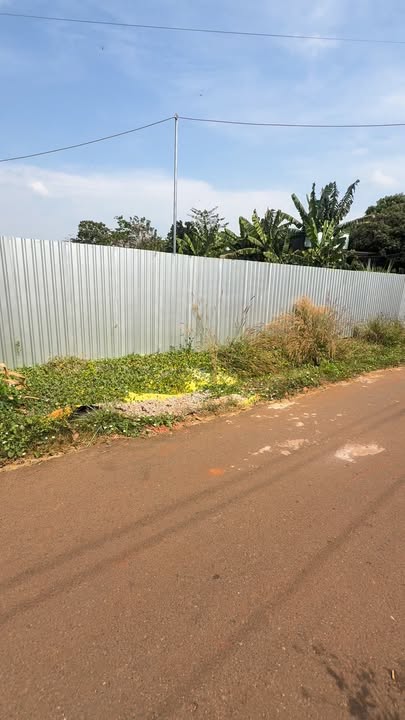 Đất Vườn 80m² - Xã Bình Xã, Châu Đức, Bà Rịa - Vũng Tàu - Giá 2 Tỷ