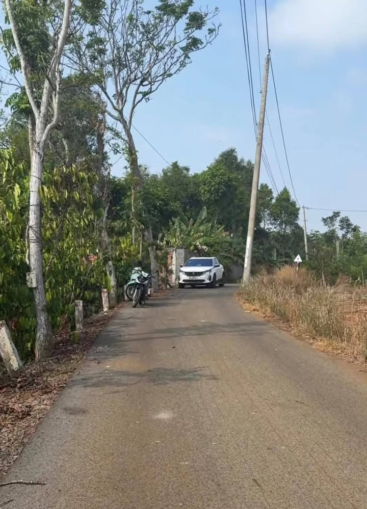 Đất vườn Châu Đức 1000m² giá 750 triệu - Nghỉ dưỡng lý tưởng!