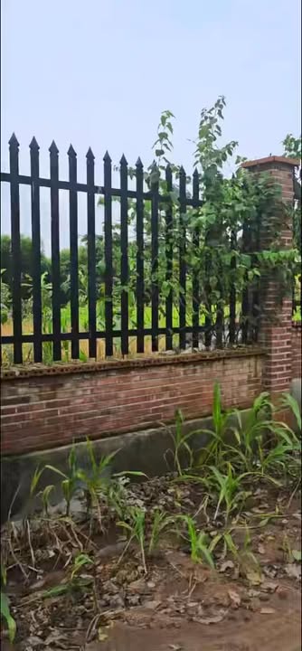 Đất Vườn 1856m² Châu Đức - View Suối, Sổ Đỏ, Giá 3.5 Tỷ