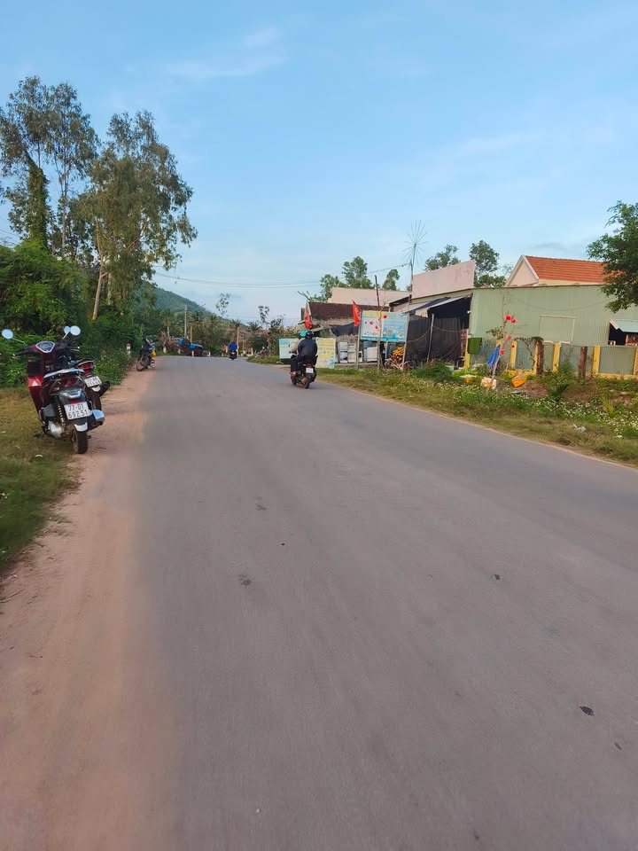 Đất Vàng 180m² Mỹ Đức, Phù Mỹ - Sổ Đỏ Sẵn Sàng, Gần Chợ, Trường Học