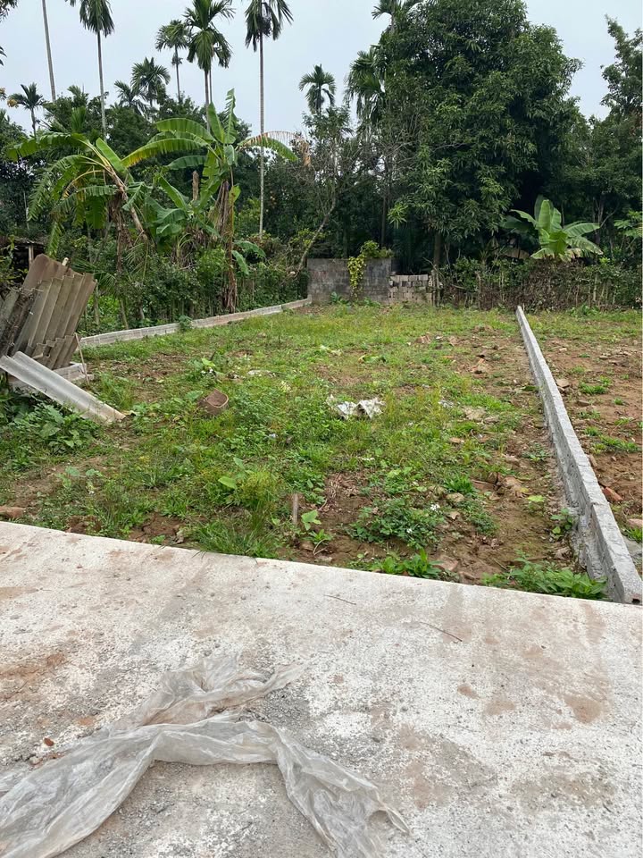 Đất nền Xã Công Lý, Lý Nhân, Hà Nam 100m² - Sổ đỏ chính chủ