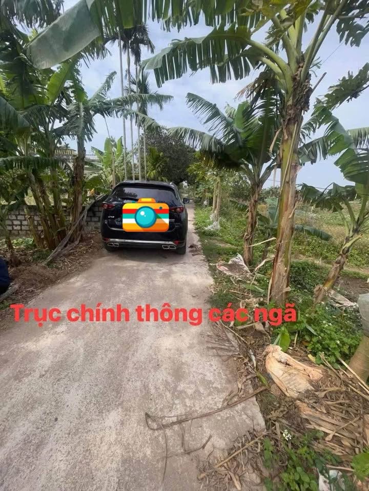 Đất nền Bình Lục Hà Nam 112m² giá 700 triệu - Sổ đỏ chính chủ!