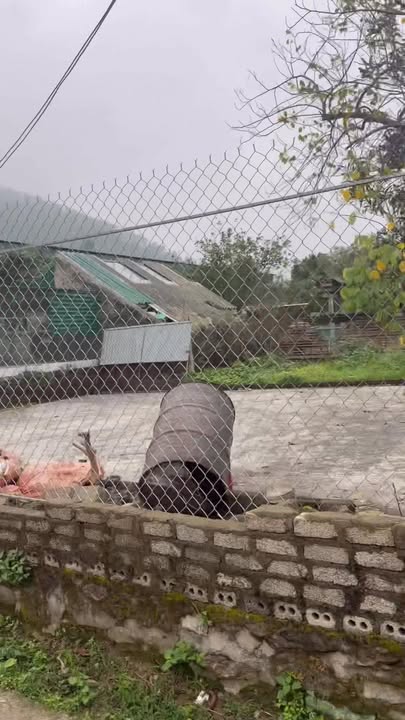 Đất nền Hưng Nguyên 240m² - Sổ đỏ chính chủ, tiềm năng tăng giá!