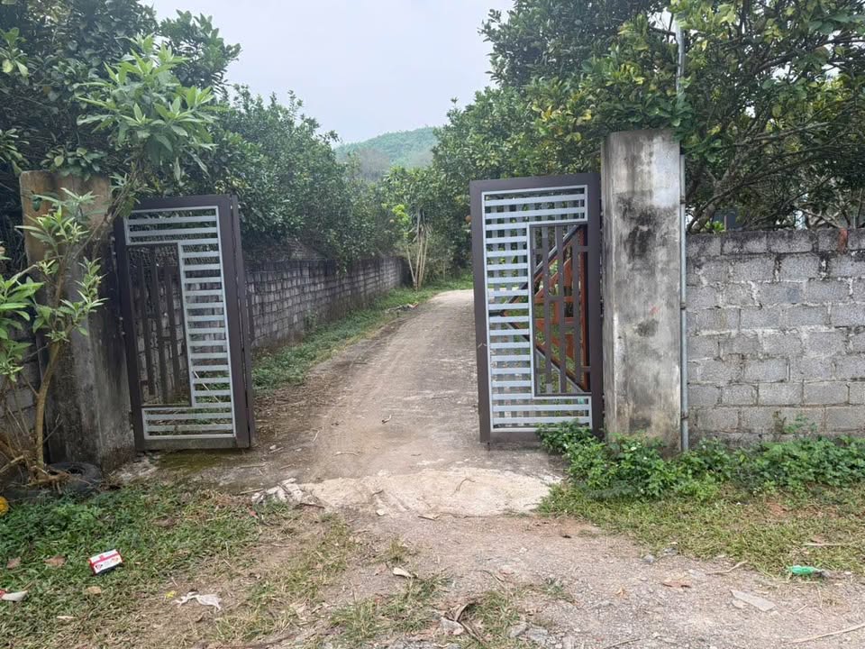 Đất nền Mãn Đức, Tân Lạc 336m² giá 399 triệu - Đất thổ cư 100%