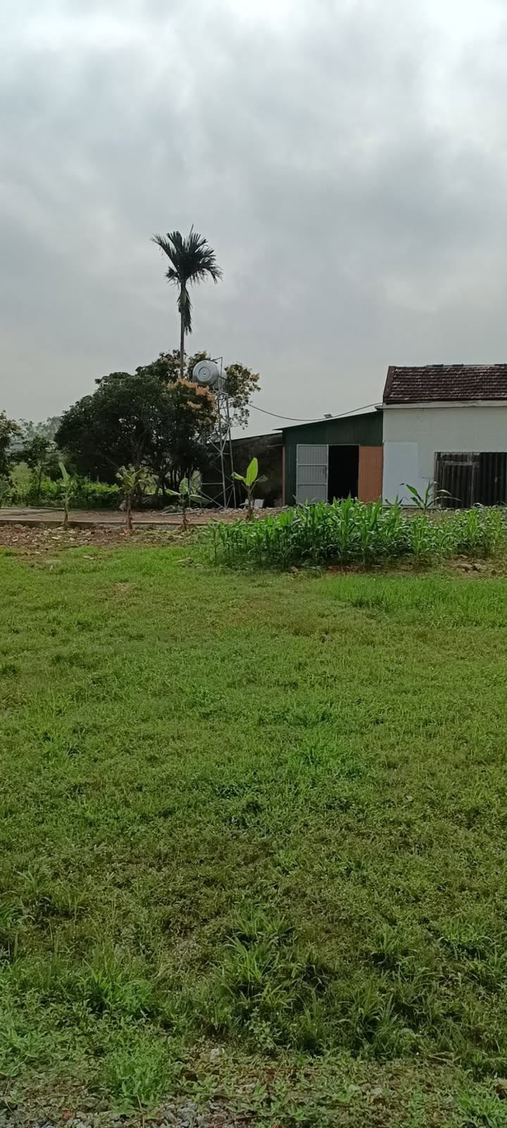 Đất Đặng Tất Hà Tĩnh 120m² thỏa thuận - Đường to ô tô