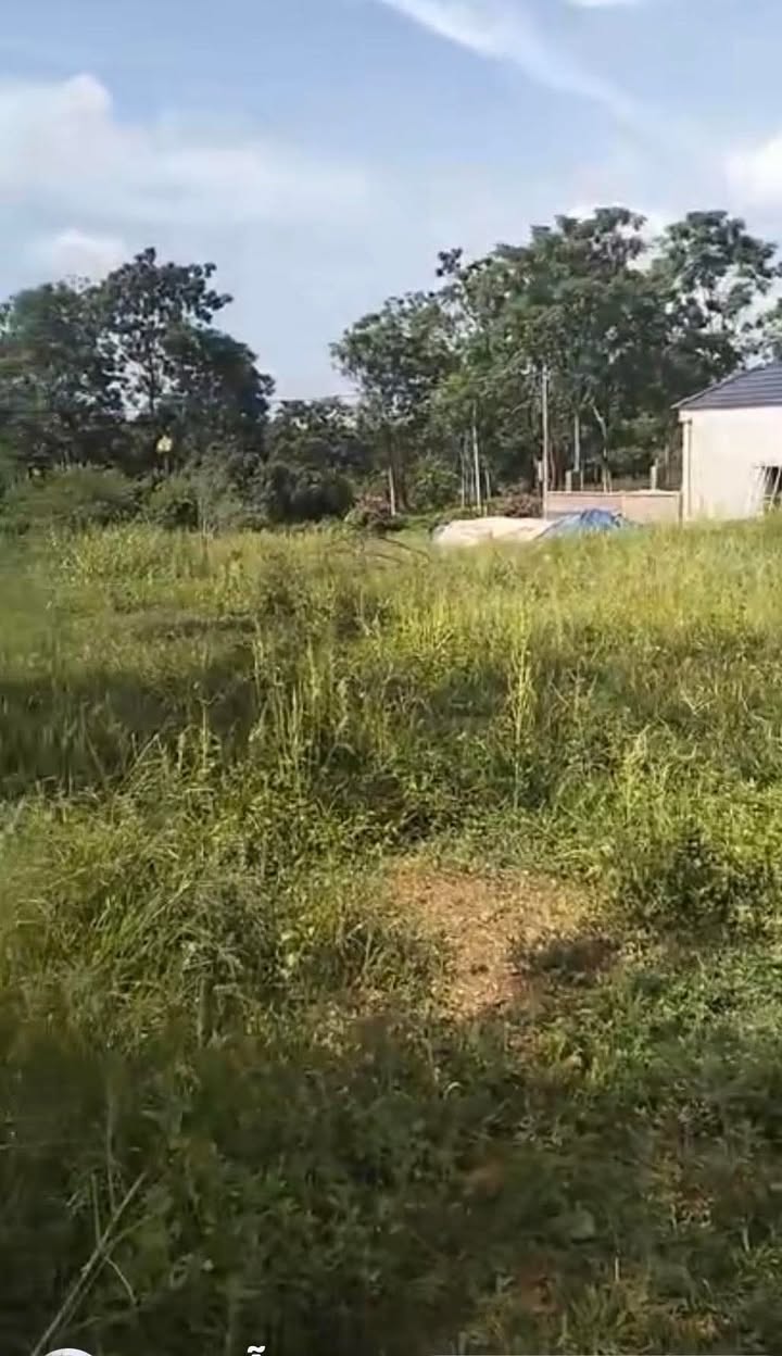 Đất Nghỉ Dưỡng Ba Vì 250.4m² - View Thiên Nhiên Tuyệt Đẹp!