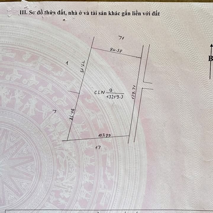 Đất Rẫy Cư Né Krông Búk 1.3ha - Đầu Tư Sinh Lời, Sổ Đỏ Sẵn!