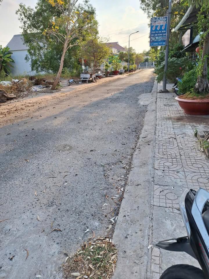 Đất nền Tràm Chim 156m² - Sổ đỏ chính chủ, tiềm năng tăng giá!