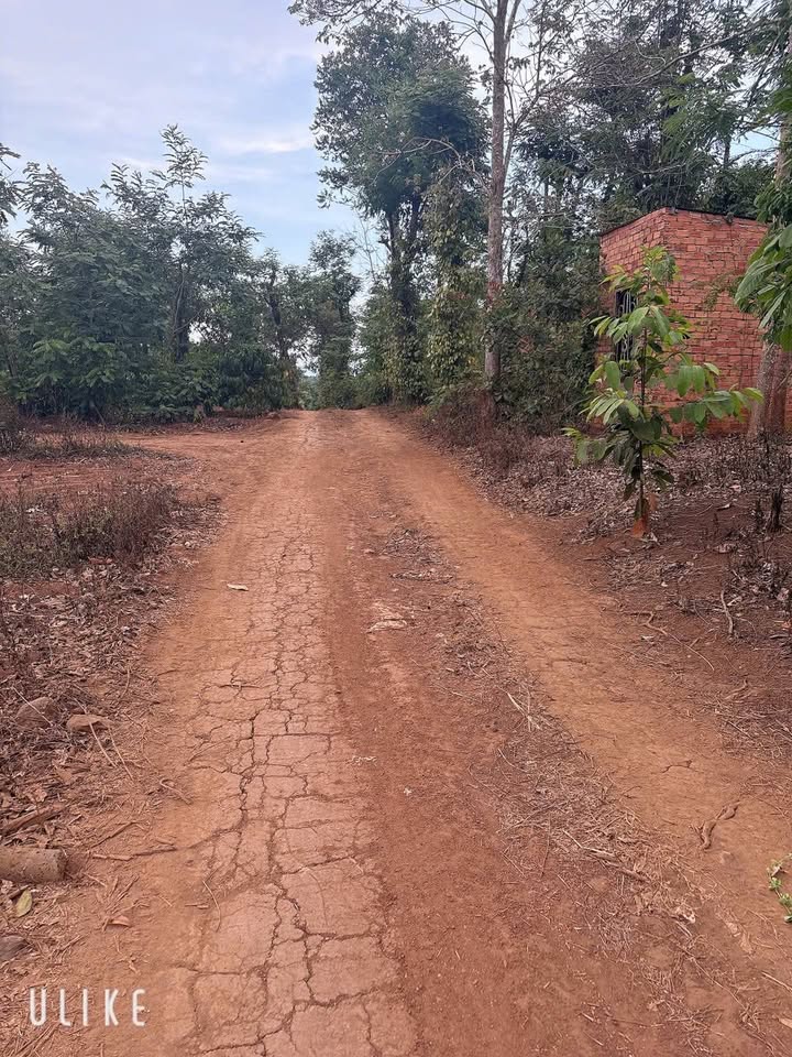 Đất nền Thôn 11 Ea Tiêu Cư Kuin 1080m² giá 1.2 tỷ - Sổ đỏ chính chủ