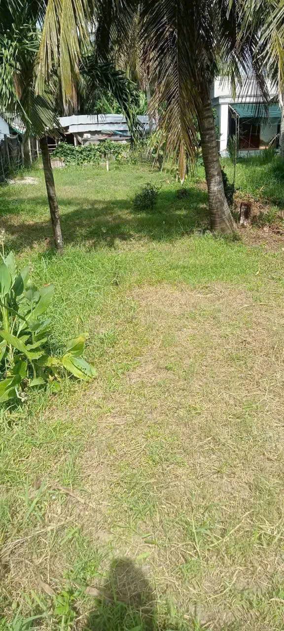 Bán gấp đất mặt tiền Huyện lộ 92, Bến Tre - 380m² giá 1.1 tỷ