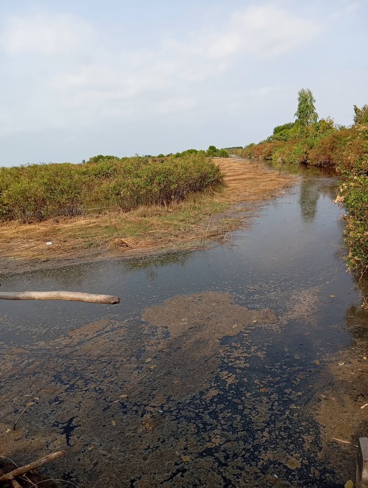 Đất nền Bạc Liêu 10.000m² – Sổ đỏ chính chủ, tiềm năng sinh lời!