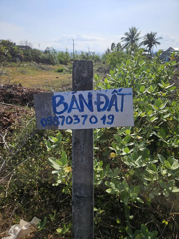 Đất Nền Mặt Tiền QL 1D Sông Cầu - 827m² Sổ Hồng Riêng