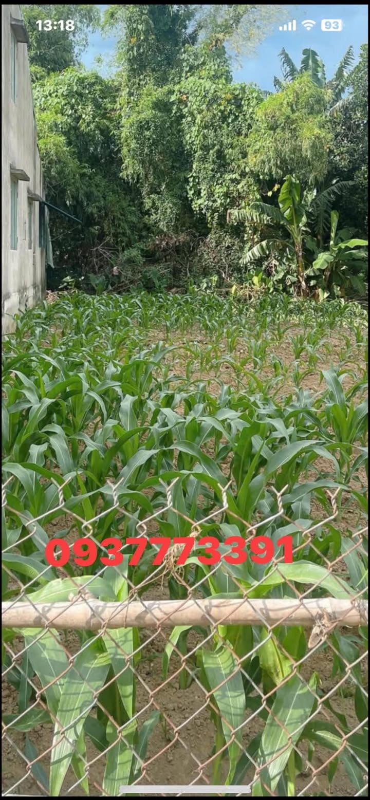 Đất nền Xuyên Đông Nam Phước 122m² - Sổ đỏ chính chủ!