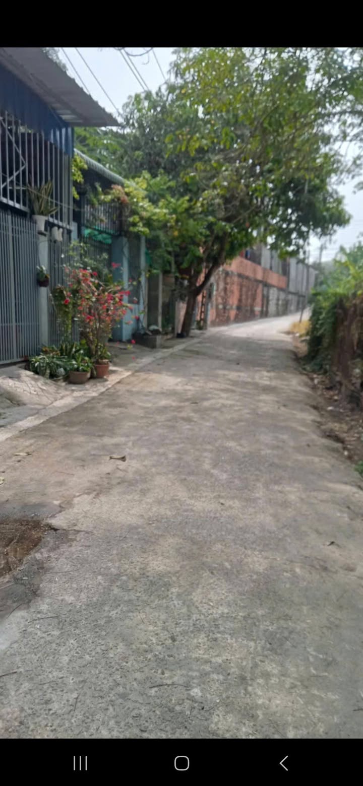 Nhà cấp 4 Tặng Đất Vị Trí Đẹp Bến Cát - 970 Triệu