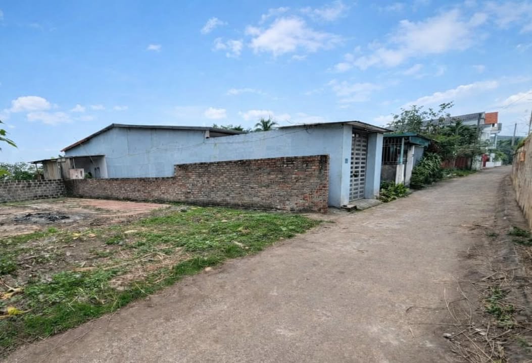 Đất nền Tiên Cát Việt Trì 67m² giá 1.686 tỷ - Sổ đỏ chính chủ