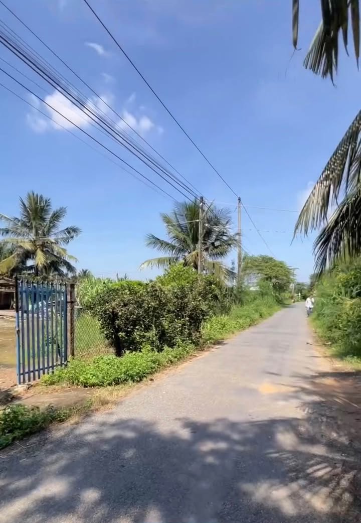 Đất nền 272m² Song Bình, Chợ Gạo - Sổ hồng CLN, Giá 800 triệu