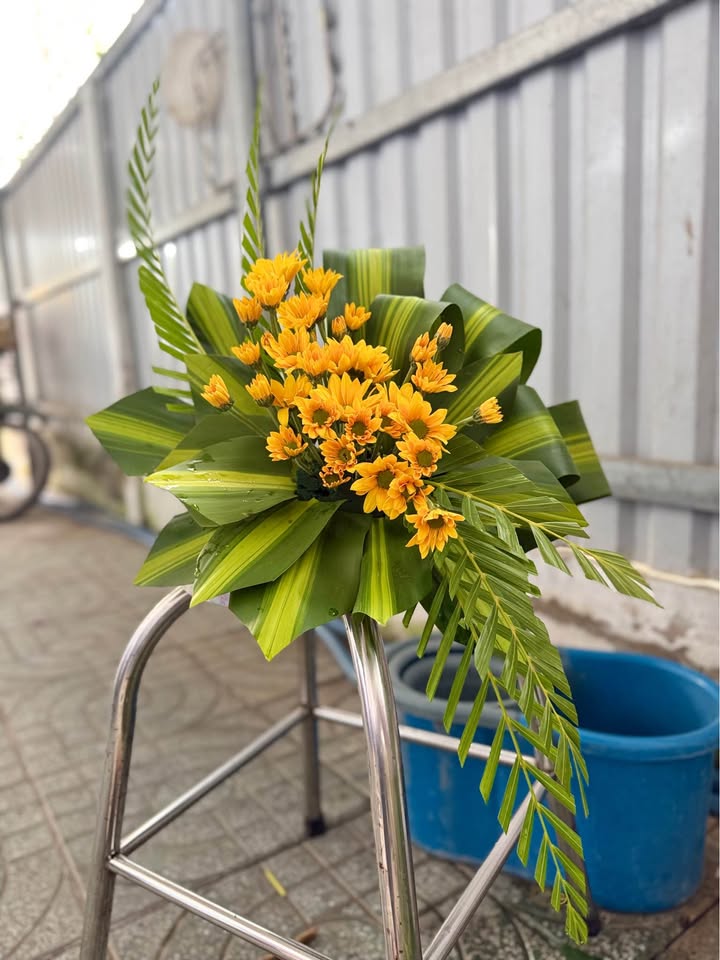 Nhà riêng Phường 10 Mỹ Tho 70m² giá 2.5 triệu - Giá tốt hiếm có!