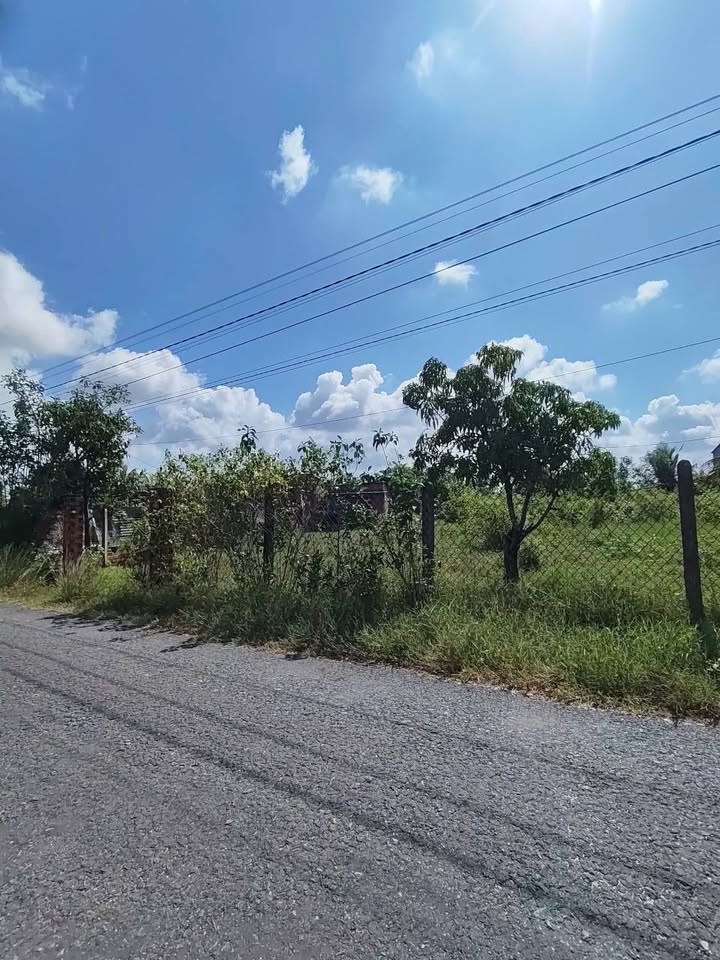 Đất Hòa Thành Tây Ninh 1.089m² - Sổ đỏ sẵn, vị trí đắc địa!