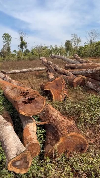 Đất Vàng Ea Tul, Đắk Lắk - 1400m² 2 Mặt Tiền, 140 Tỷ - Đầu Tư Sinh Lời