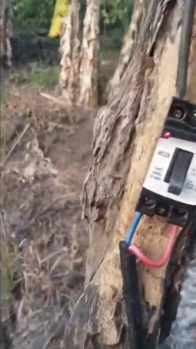 Đất Farm Xã Đê Ar, Mang Yang 1ha - Giá Đầu Tư Tốt Chỉ 750 Triệu