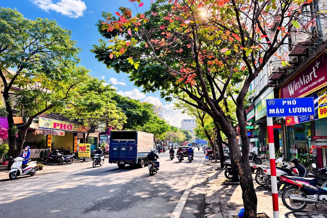 Đất nền Mậu Lương, Kiến Hưng, Hà Đông 60m² - Sổ đỏ chính chủ