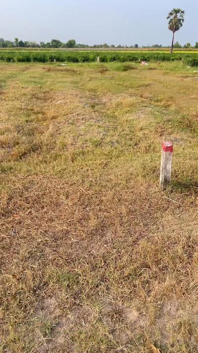 Đất nền Bến Cầu 170m² giá 220 triệu - Pháp lý rõ ràng!