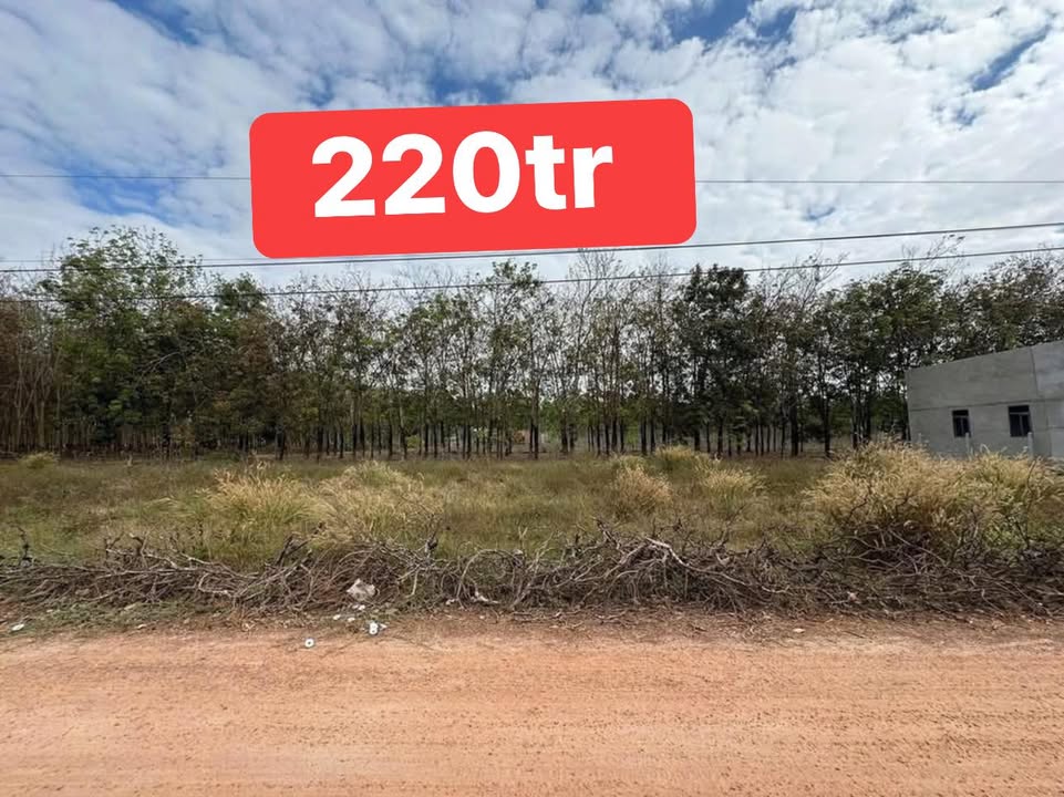 Đất nền Tân Hội, Tân Châu 125m² - Sổ đỏ chính chủ, 220 triệu!